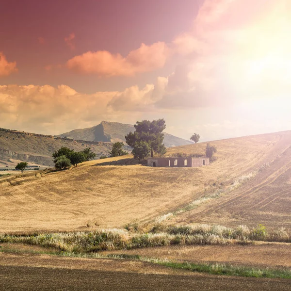 Campos Trigo Sicília Após Colheita Paisagem Siciliana Nascer Sol Colinas — Fotografia de Stock