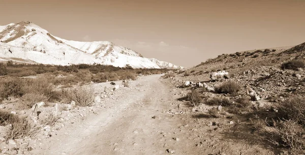 Negev Çölü İsrail kayalık tepelerinde. Nefes kesici manzara çöl kaya oluşumları Güney İsrail Çölü'nde. Vintage tarzı sepya fotoğraf