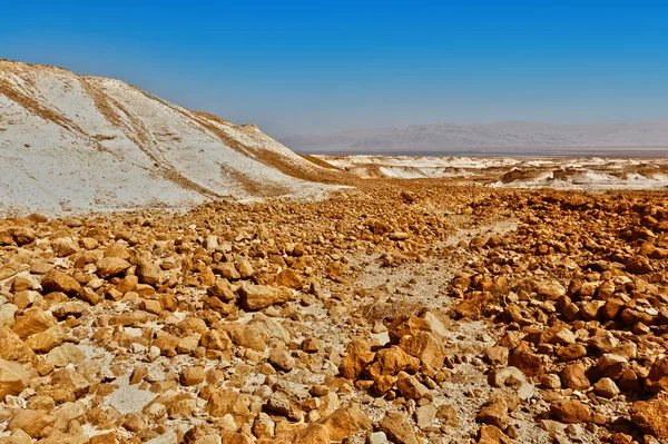 イスラエルのネゲヴ砂漠の岩の丘 南イスラエル砂漠の砂漠岩の形成の息をのむような風景 — ストック写真