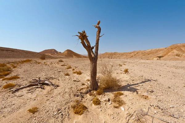 Vemod Och Tomhet Negevöknens Steniga Kullar Israel Häpnadsväckande Landskap Och — Stockfoto