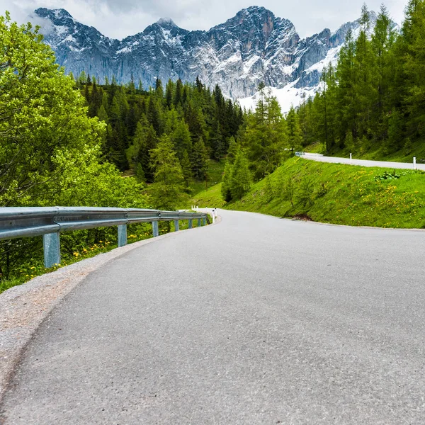 Strada Asfaltata Sinuosa Nel Paesaggio Austriaco Con Boschi Campi Pascoli — Foto Stock