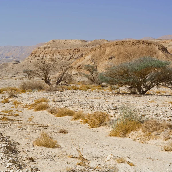 イスラエルのネゲヴ砂漠の岩場の丘の無限のファンタジー 中東の息をのむような風景と自然 — ストック写真