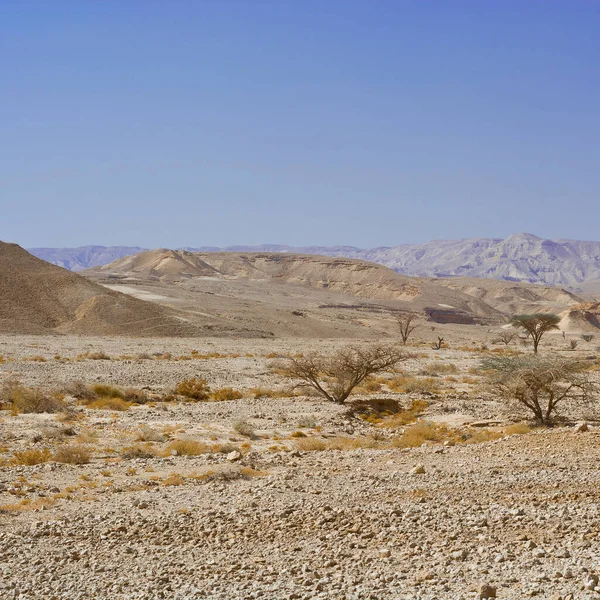 İsrail 'deki Negev Çölü' nün kayalık tepelerinin sonsuz fantezisi. Ortadoğu 'nun nefes kesici manzarası ve doğası.