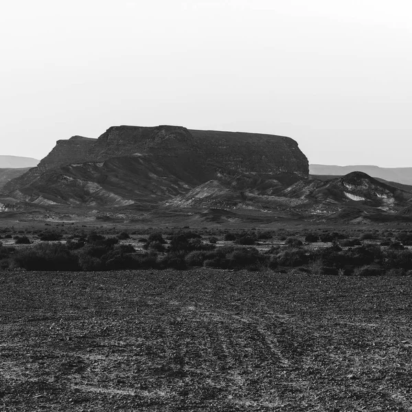 Desolada Infinidad Las Colinas Rocosas Del Desierto Del Neguev Israel — Foto de Stock