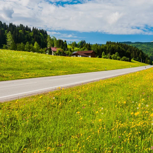 Asfaltová Cesta Rakouské Krajině Lesy Poli Pastvinami Loukami — Stock fotografie