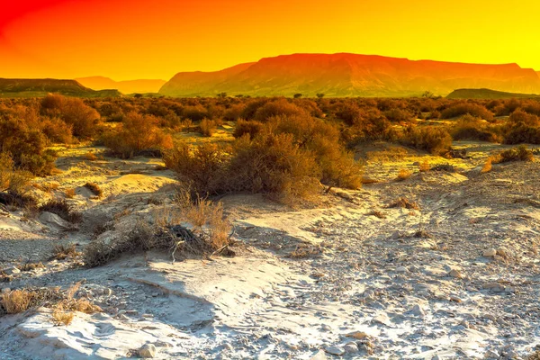 Colorate Colline Rocciose Del Deserto Del Negev Israele Paesaggio Mozzafiato — Foto Stock
