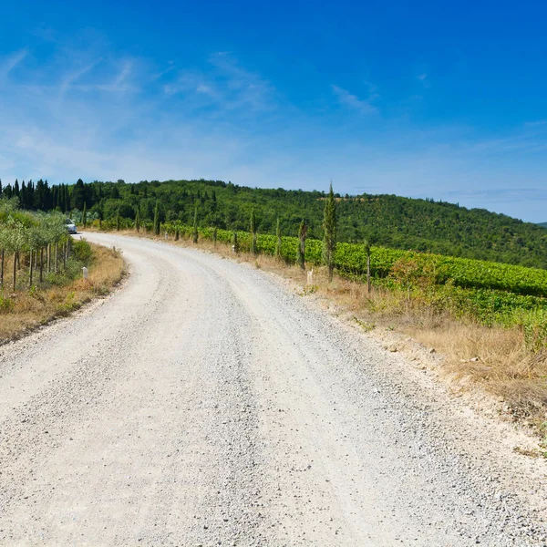 托斯卡纳风景肮脏的道路和葡萄园 意大利葡萄园之间的公路 — 图库照片