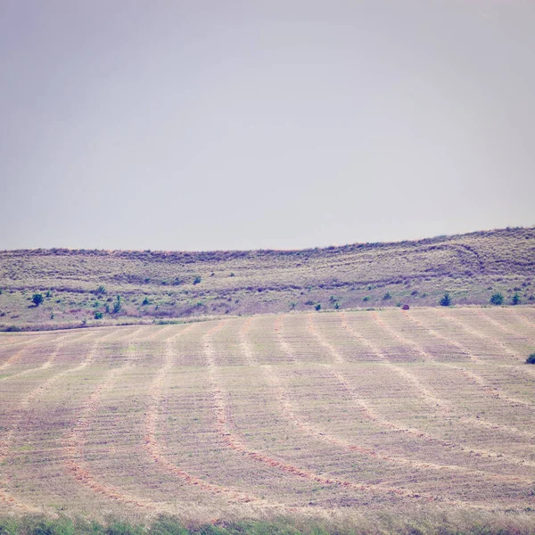 Mown Field Hill Sicily Italia Effetto Instagram — Foto Stock
