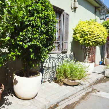 Tel Aviv 'de Çiçekle süslenmiş cephe