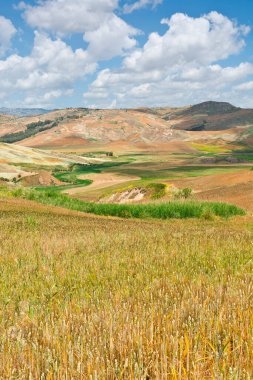 Sicilya 'daki tepelerde buğday tarlası