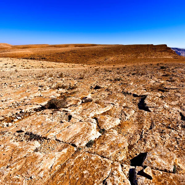 Srail Deki Negev Çölü Nün Rocky Tepeleri Güney Srail Çölü — Stok fotoğraf