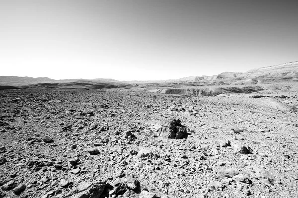 Скелясті Пагорби Пустелі Негев Ізраїлі Дивовижний Пейзаж Пустельних Гірських Утворень — стокове фото