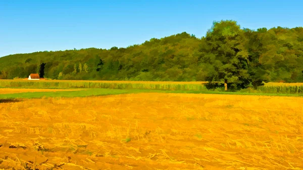 Plantation Maïs Après Récolte France Photo Stylisée — Photo