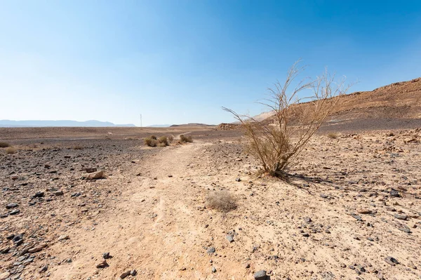 Lélegzetelállító Táj Izraeli Sivatag Sziklaképződményeiről Dusty Hegyek Félbeszakított Wadis Mély — Stock Fotó