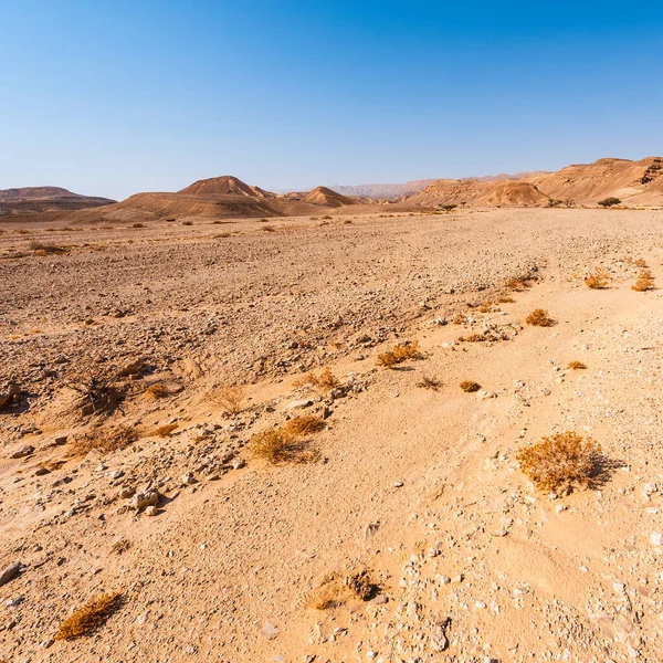 Rotsachtige Heuvels Van Negev Woestijn Israël Adembenemend Landschap Van Rotsformaties — Stockfoto