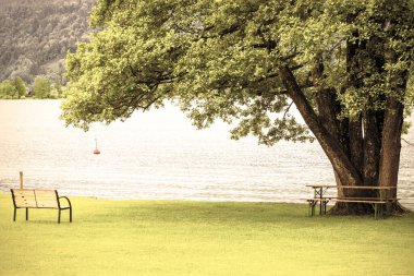 Avusturya 'daki Wolfgangsee' de yağmur ve sabah sisi. Avusturya kırsal kesiminde bir göl yakınındaki çimlerde bankları olan küçük, iyi korunmuş bir park. Klasik stil
