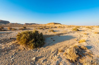 İsrail çölündeki kaya oluşumlarının nefes kesici manzarası. Tozlu dağlar wadiler ve derin kraterler tarafından kesildi..