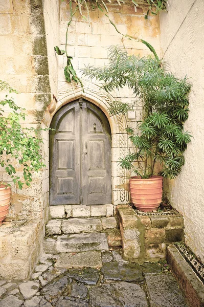 Pátio Decorado Com Plantas Uma Casa Grega Ilha Rodes Estilo — Fotografia de Stock