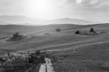 Gündoğumunda Sicilya manzarası, tepeler, tarlalar, çiçekler, çayırlar ve güneş ışığı. Siyah beyaz resim