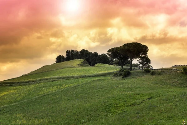 Sicilian Landscape Sunrise Hills Fields Flowers Pasture Sunlight — Stock Photo, Image