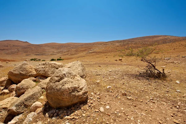 イスラエルのネゲヴ砂漠の岩の丘 南イスラエル砂漠の砂漠岩の形成の息をのむような風景 — ストック写真