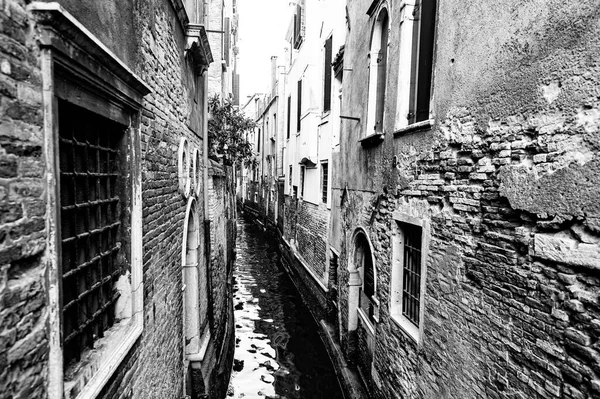 Siyah Beyaz Venedik Terk Etti Müze Şehri Kanallarla Ayrılmış Boş — Stok fotoğraf