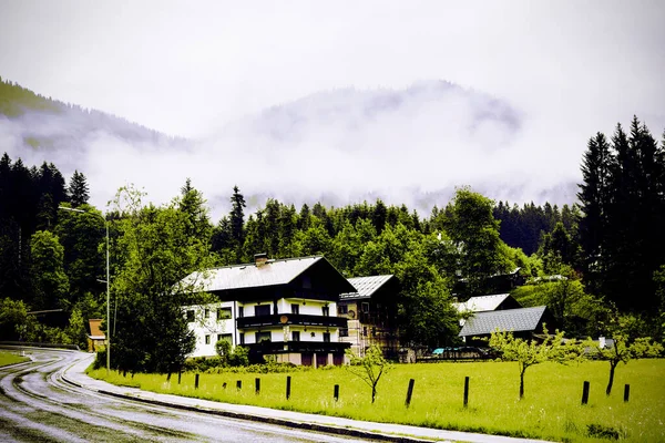 Mattina Nebbia Sulla Strada Nel Paesaggio Austriaco Con Boschi Campi — Foto Stock