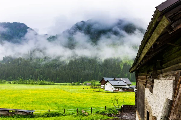 フィールド 牧草地 牧草地や村とオーストリアの風景の上に朝の霧 オーストリアの地方に雨と雲 — ストック写真