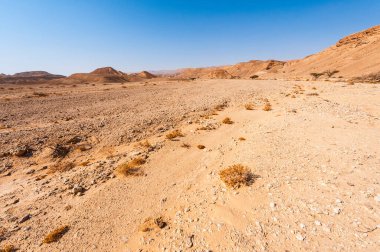 İsrail 'deki Negev Çölü' nün Rocky tepeleri. Güney İsrail 'deki kaya oluşumlarının nefes kesici manzarası. Tozlu dağlar wadiler ve derin kraterler tarafından kesildi..