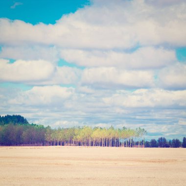 İspanya 'da Buğday Sahası, Instagram Efekti