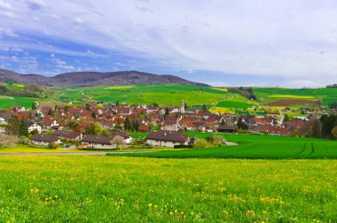 İsviçre Kasabası Otlaklarla çevrili
