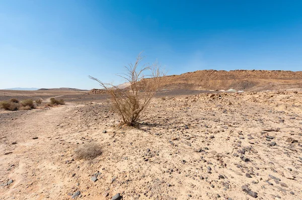 Paisagem Deslumbrante Das Formações Rochosas Deserto Israel Montanhas Poeirentas Interrompidas — Fotografia de Stock