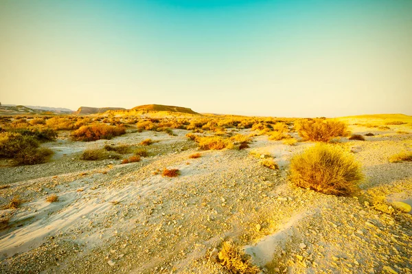 Atemberaubende Landschaft Der Felsformationen Der Israelischen Wüste Staubige Berge Unterbrochen — Stockfoto