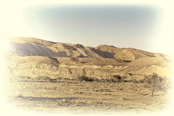 Colinas Rocosas Del Desierto Del Neguev Israel Foto Estilizada —  Fotos de Stock