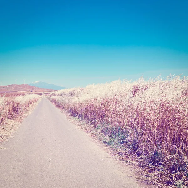 Asfalt Road Wheat Fields Leading Mount Etna Sicílie Instagram Effect — Stock fotografie