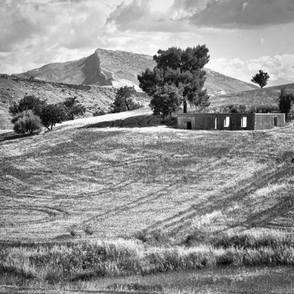 Campos Trigo Nas Colinas Sicília Imagem Retro Filtrada Estilo — Fotografia de Stock