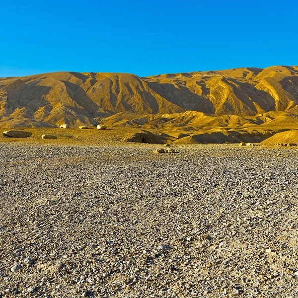 Colline Rocciose Del Deserto Dei Negev Israele — Foto Stock