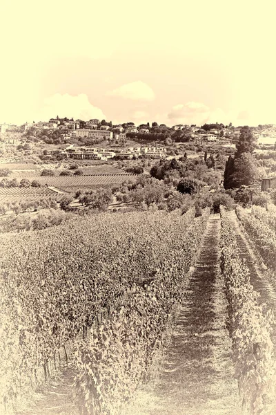 Vinice Zralými Hrozny Podzim Pozadí Středověkého Italského Města Stylizovaná Fotografie — Stock fotografie