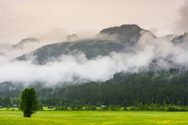 Mattina Nebbia Sul Paesaggio Austriaco Con Boschi Campi Pascoli Prati — Foto Stock