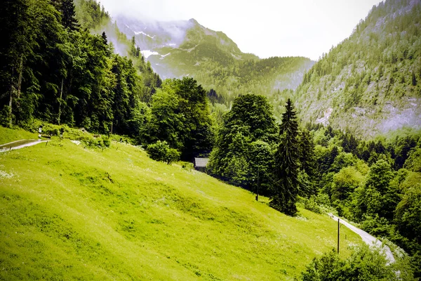 Ochtendmist Het Oostenrijkse Landschap Met Bossen Bergen Weiden Weiden Dorpen — Stockfoto