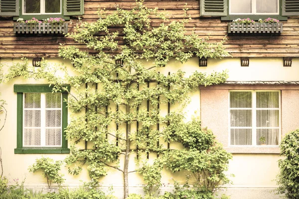 奥地利建筑的立面 装饰着鲜花和树木 传统的奥地利房子在雨天在哈尔斯塔特 复古风格 — 图库照片