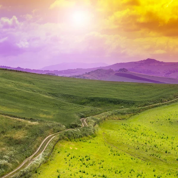 Сицилійський Пейзаж Світанку Пагорбах Полях Квітах Пасовищах Сонці — стокове фото