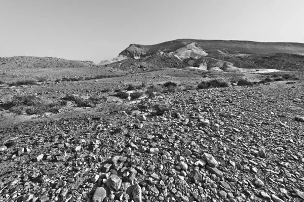 Rocky Hills Negev Desert Israel Breathtaking Landscape Desert Rock Formations — Stock Photo, Image