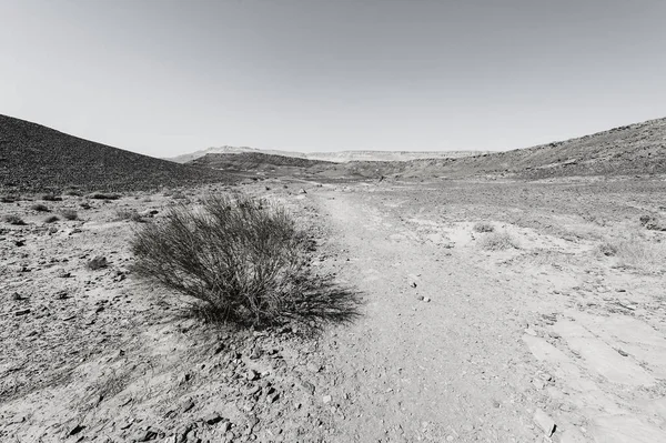 Rocky Hills Negev Desert Israel Dech Beroucí Krajina Příroda Středního — Stock fotografie