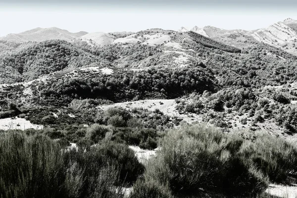 Schöne Landschaft Spanien Mit Dramatischem Blick Auf Das Kantabrische Gebirge — Stockfoto