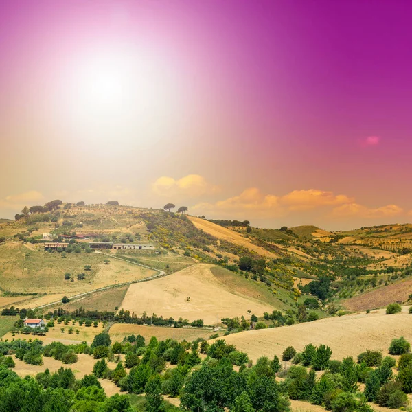 Sycylijski Krajobraz Wschodzie Słońca Wzgórza Pola Kwiaty Pastwiska Światło Słoneczne — Zdjęcie stockowe