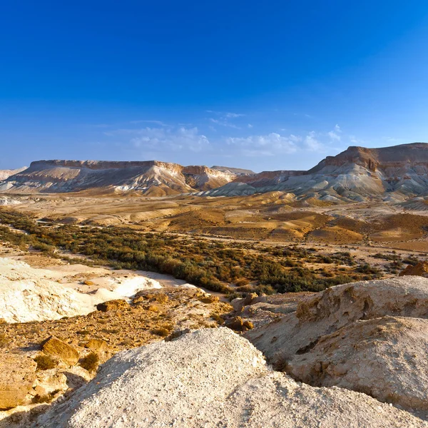 Скелясті Пагорби Пустелі Негев Ізраїлі Дивовижний Краєвид Пустельних Скель Півдні — стокове фото
