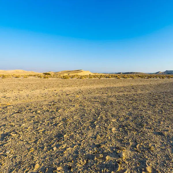 Desolato Infinito Delle Colline Rocciose Del Deserto Del Negev Israele — Foto Stock