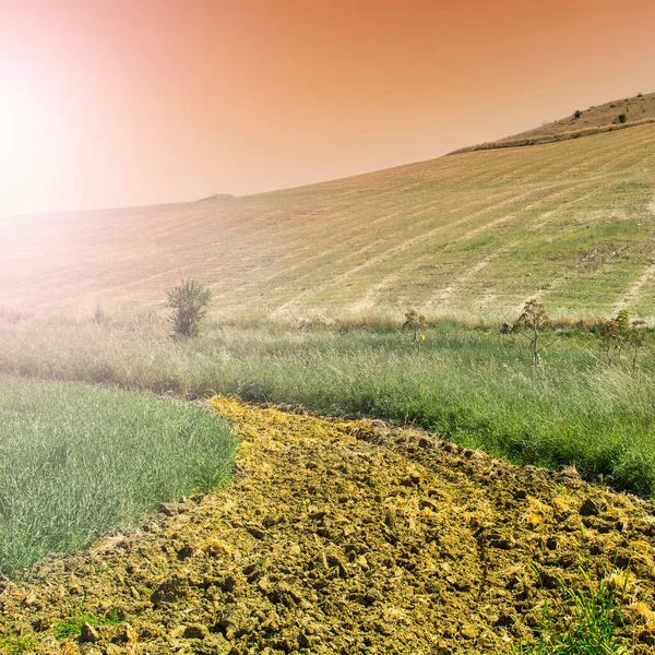 収穫後のシチリア島のコムギ畑 日の出 牧草地 日光でシチリアの風景 — ストック写真