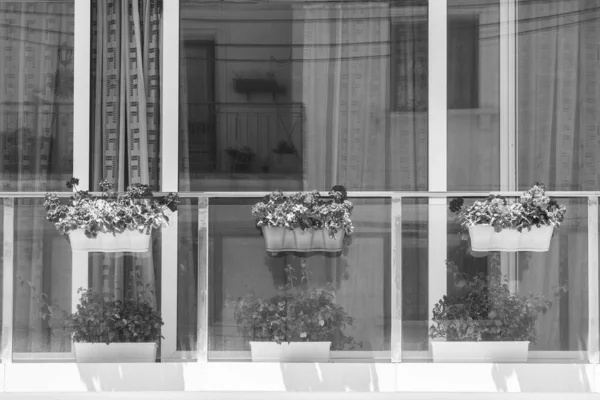 Edificio Con Ventana Moderna Decorado Con Flores Frescas Malta Imagen — Foto de Stock